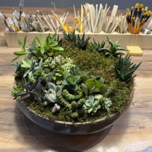 Kişiselleştirilebilen Saksı ve Sukulent tasarımı